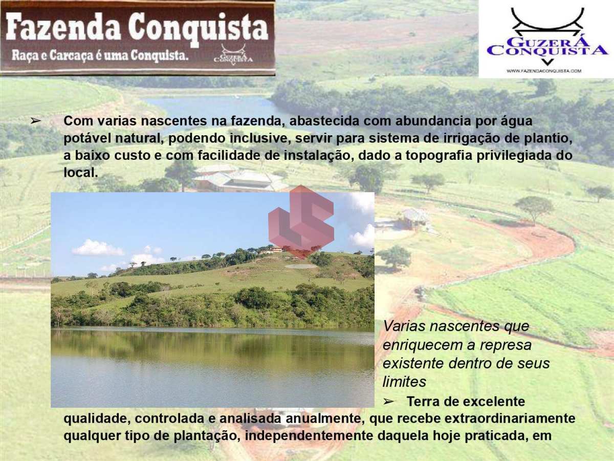 Fazenda à venda, com 10 quartos, 163Alqueires Paulista - Grupo Sena Consultoria Imobiliária