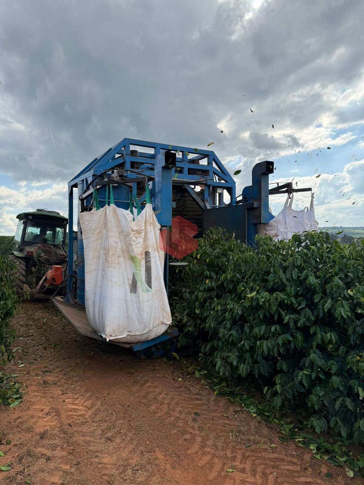 Fazenda à venda, com 3 quartos, 151ha - Grupo Sena Consultoria Imobiliária