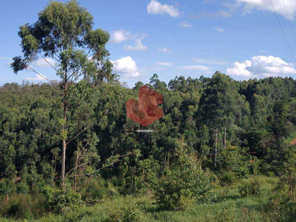 Fazenda à venda, com 8 quartos, 2.613.600m² - Grupo Sena Consultoria Imobiliária